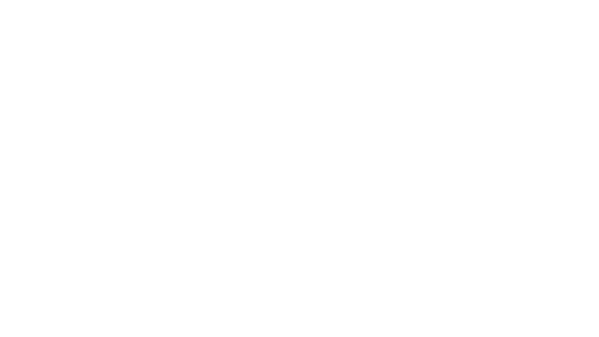 Partner image