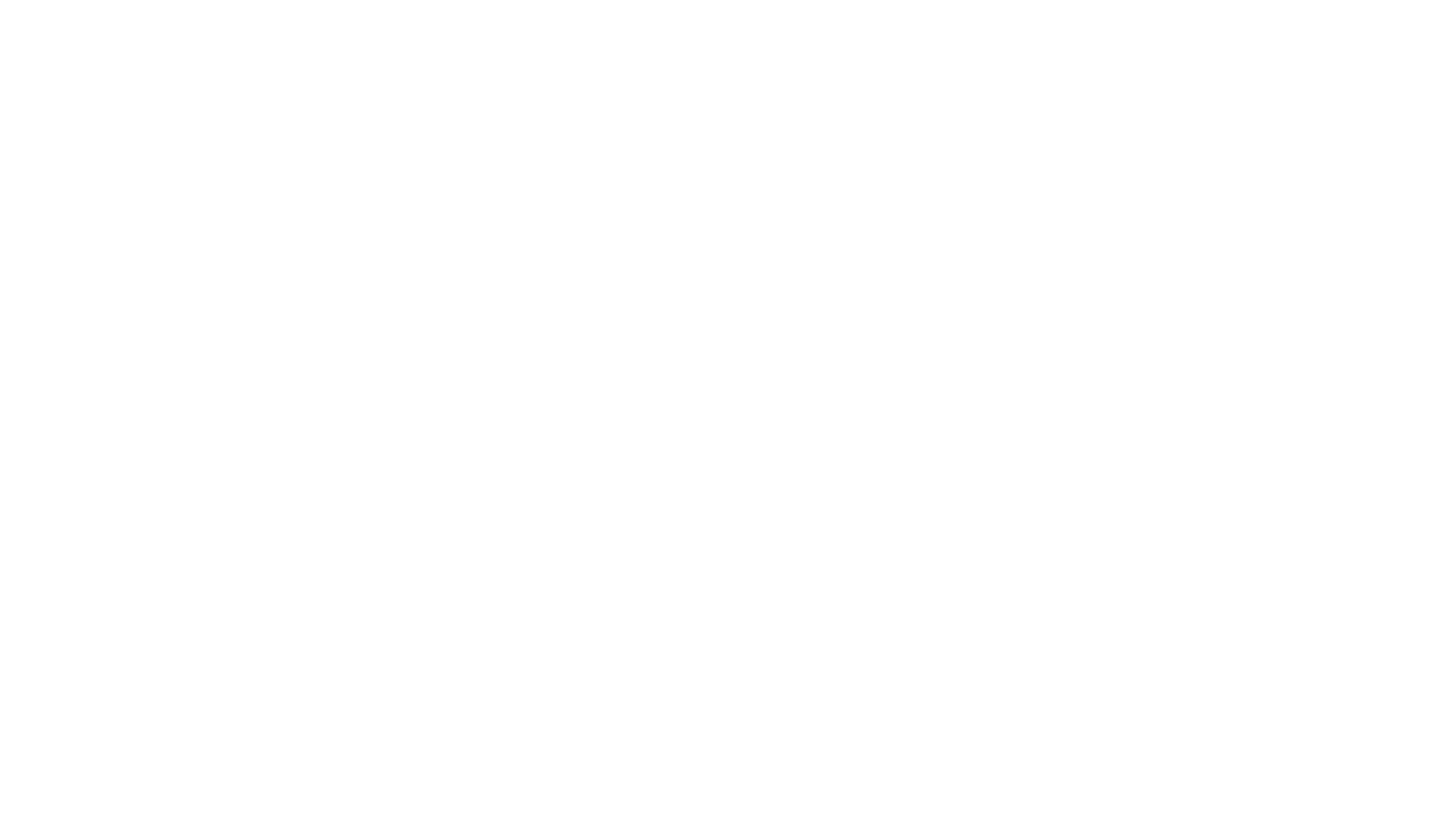 Partner image