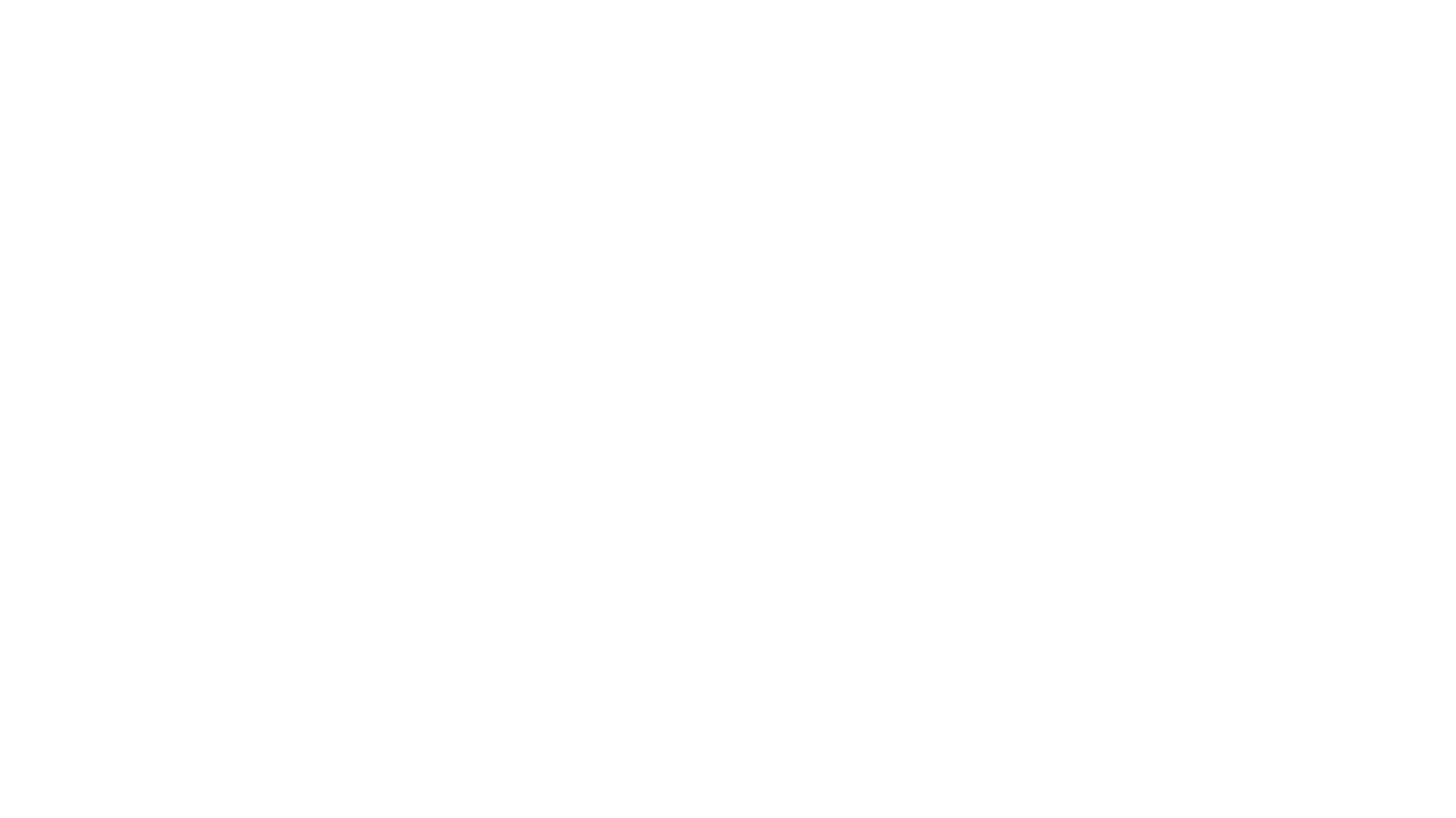 Partner image