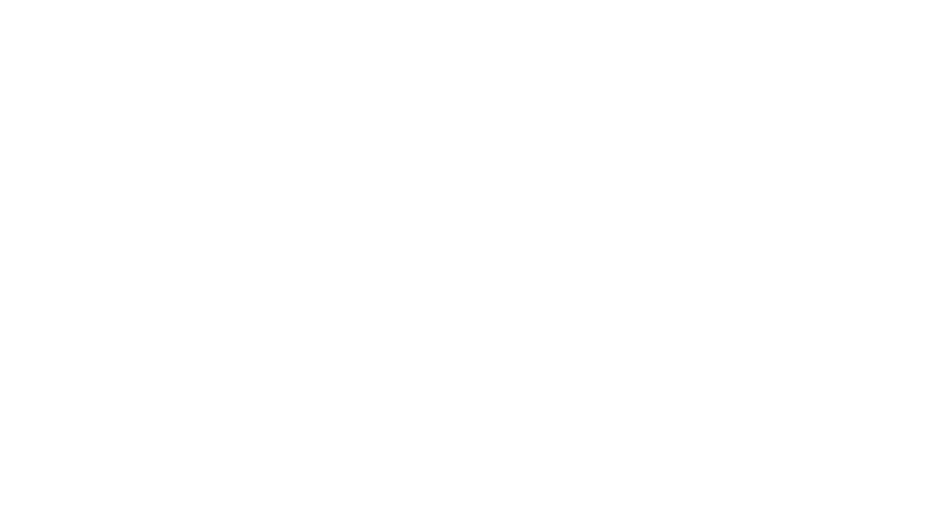 Partner image