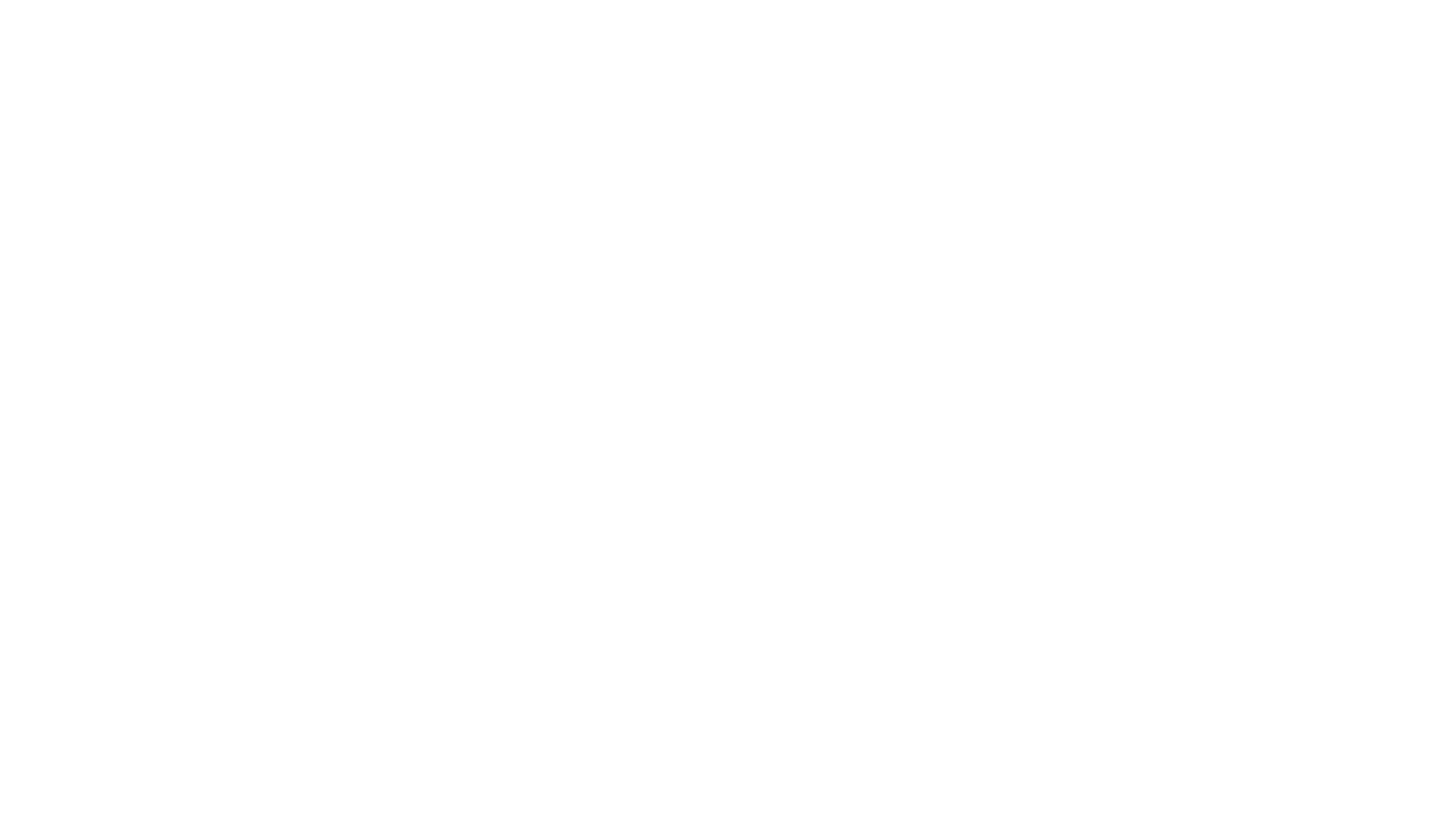 Partner image