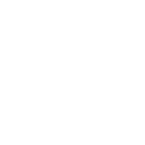 Partner image