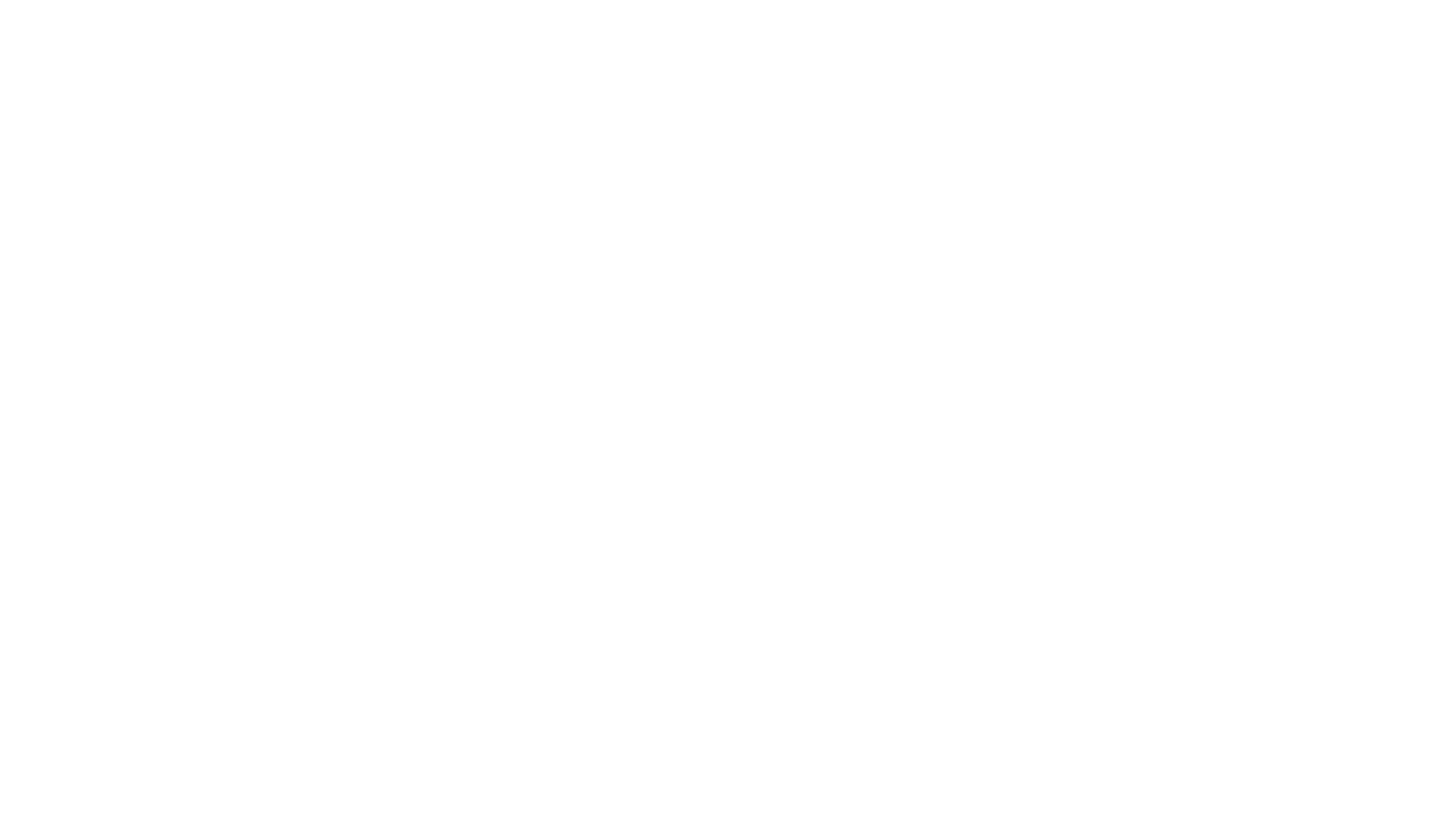 Partner image