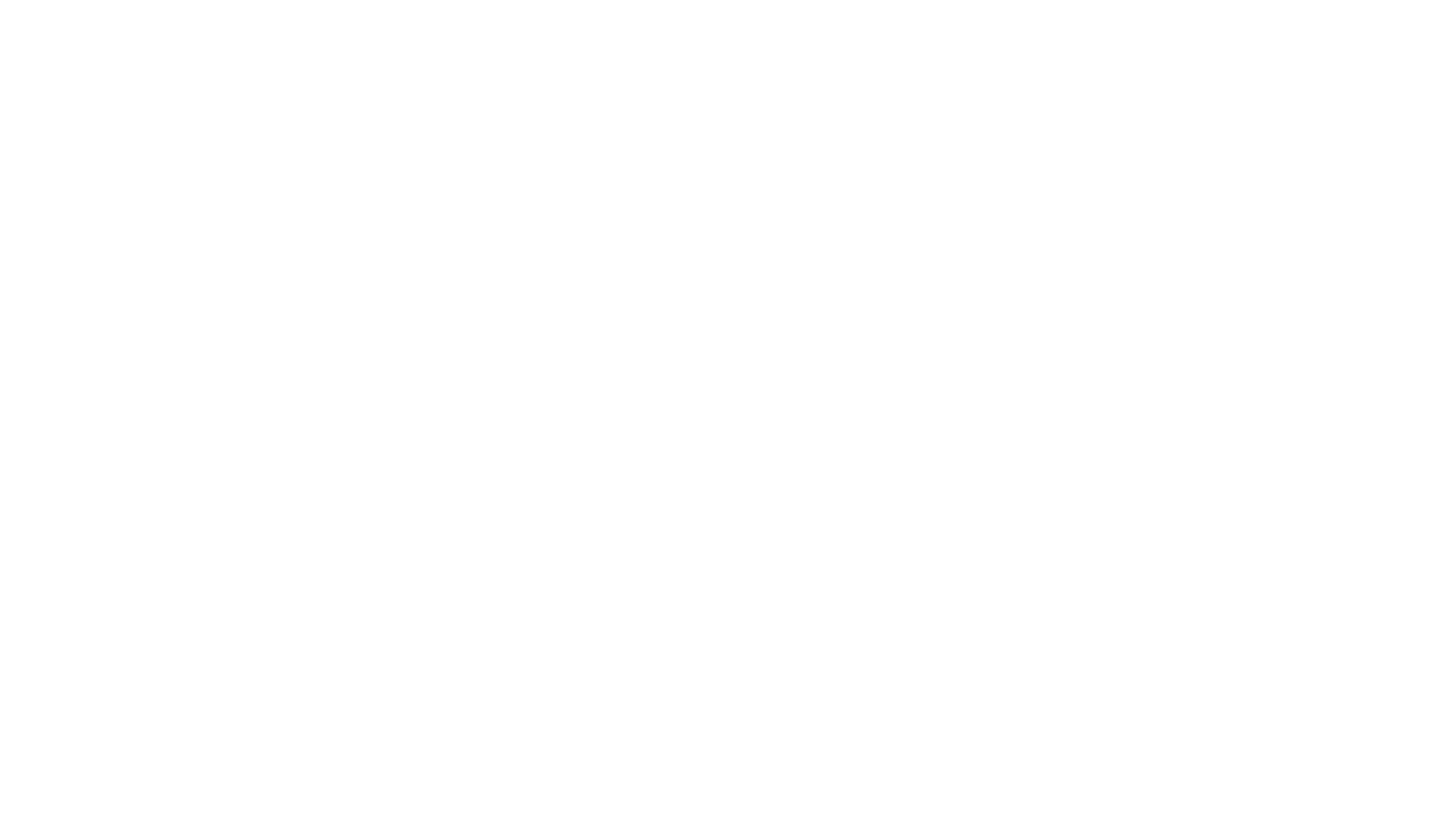 Partner image
