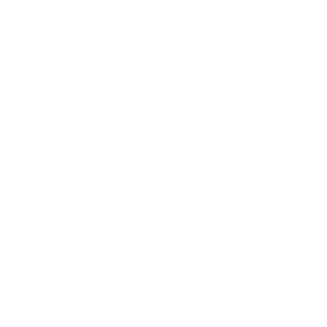 Partner image