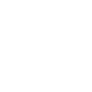 Partner image
