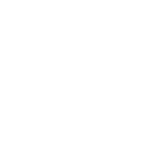 Partner image