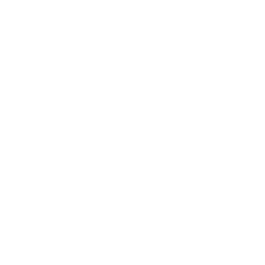 Partner image