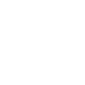 Partner image