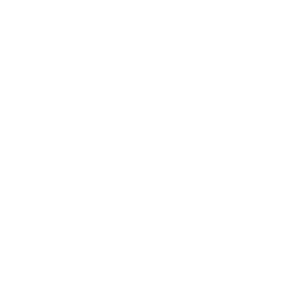 Partner image