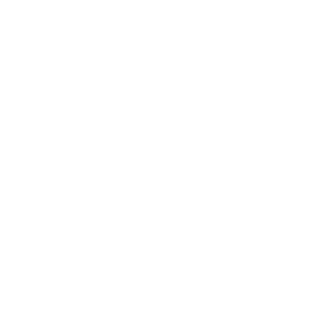 Partner image
